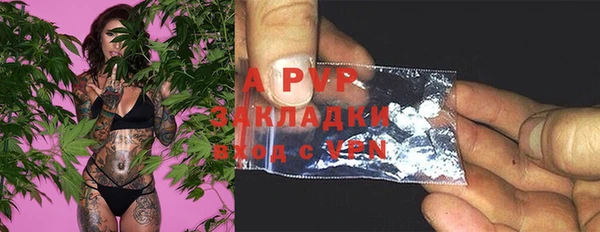 ECSTASY Абаза
