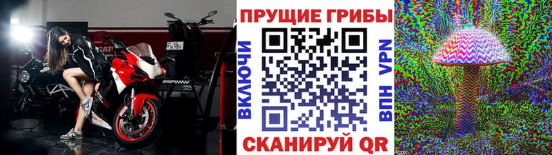 Псилоцибиновые грибы MAGIC MUSHROOMS  Берёзовка 